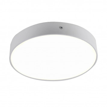 Потолочный LED светильник Favourite Flashled 2065-30C