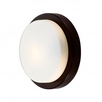 Потолочный светильник Odeon Light Holger 2744/1C