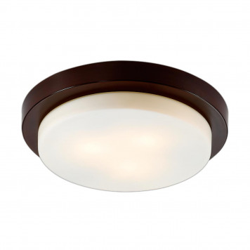 Потолочный светильник Odeon Light Holger 2744/3C
