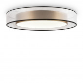 Потолочный светильник Freya Zoticus FR6005CL-L48G