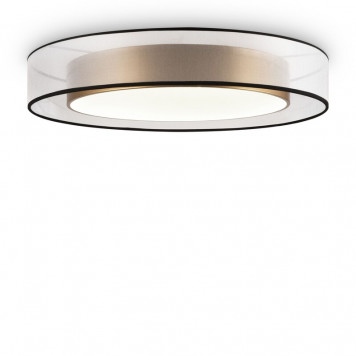 Потолочный светильник Freya Zoticus FR6005CL-L48G