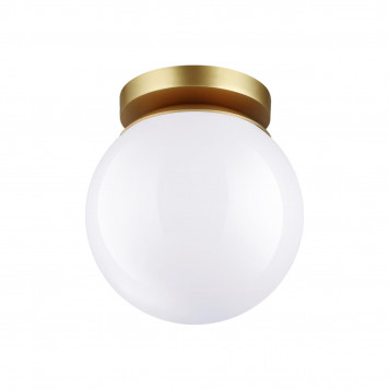 Потолочный светильник Odeon Light Bosco 4247/1C