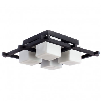 Потолочный светильник Arte Lamp Woods A8252PL-4CK