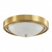 Потолочный светильник Lumion Nina 5259/2C