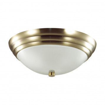Потолочный светильник Lumion Kayla 5262/2C