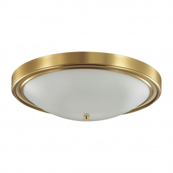 Потолочный светильник Lumion Nina 5259/4C
