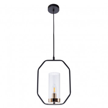 Подвесной светильник Arte Lamp Celaeno A7004SP-1BK