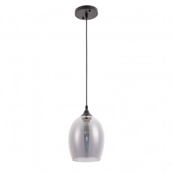 Подвесной светильник Arte Lamp Propus A4344SP-1BK