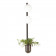 Бра Odeon Light Flower 4681/2WA