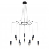 Люстра Maytoni Davida MOD035PL-12B