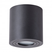 Накладной светильник Arte Lamp Galopin A1460PL-1BK