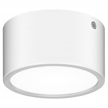 Накладной LED светильник Lightstar Zolla 380163