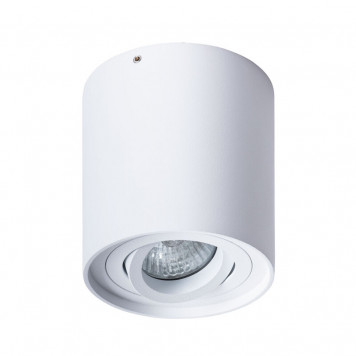 Накладной светильник Arte Lamp Falcon A5645PL-1WH