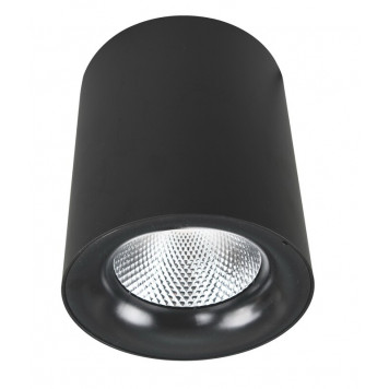 Накладной светильник Arte Lamp Facile A5130PL-1BK