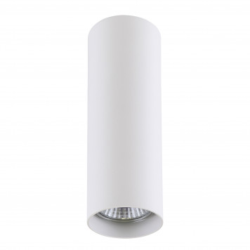 Накладной светильник Lightstar Rullo 214496