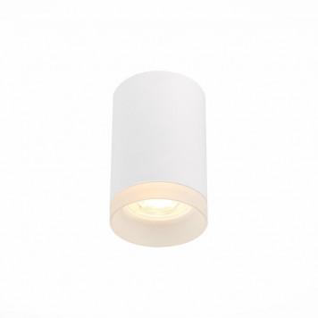 Накладной светильник St Luce St100 ST100.502.01