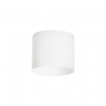 Накладной светильник Lightstar Rullo 213486