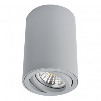 Накладной светильник Arte Lamp Sentry A1560PL-1GY