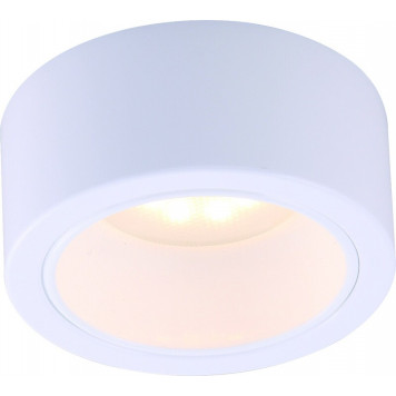 Накладной светильник Arte Lamp Effetto A5553PL-1WH