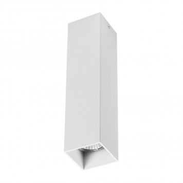 Накладной светильник Lightstar Rullo 216396