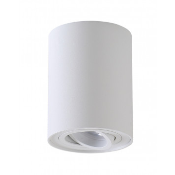 Накладной светильник Crystal Lux Clt 410C1 Wh