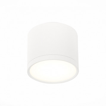 Накладной светильник St Luce Rene ST113.542.09