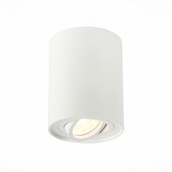 Накладной светильник ST Luce Torus ST108.517.01
