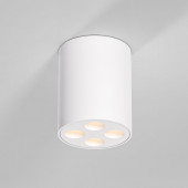 Накладной светильник Elektrostandard Points 25111/LED белый 7W 3000K