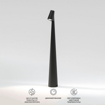 Настольная лампа Elektrostandard Elite TL70250