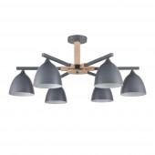 Люстра Lumion Colange 8096/6C