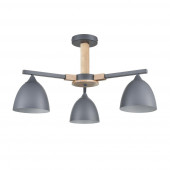 Люстра Lumion Colange 8096/3C