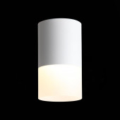 Накладной светильник ST Luce Накладные светильники ST100.502.10