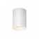 Уличный светильник Maytoni Luxe O500CL-L10W3K