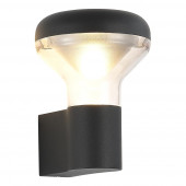 Уличный светильник ST Luce SL9541.701.01