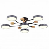 Люстра Evoluce Faema SLE6006-702-06