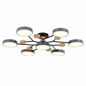 Люстра Evoluce Faema SLE6006-702-07