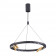 Люстра Odeon Light Beveren 3918/48L