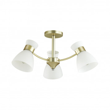 Люстра Lumion Wilma 4535/3C