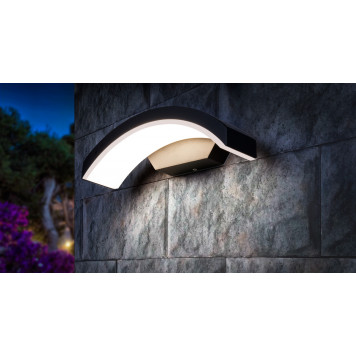 Уличный LED светильник Elektrostandard 1671 TECHNO черный Asteria D