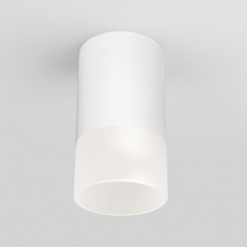 Уличный светильник Elektrostandard Light LED 2106 (35139/H) белый