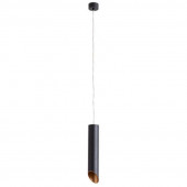Подвесной светильник Arte Lamp Pilon-gold A1536SP-1BK