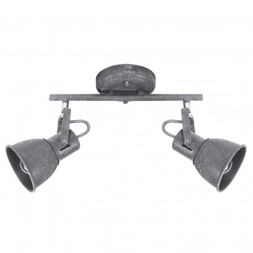 Спот Arte Lamp Jovi A1677PL-2GY