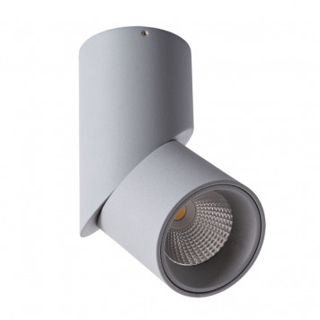 Спот Arte Lamp Meisu A7717PL-1GY